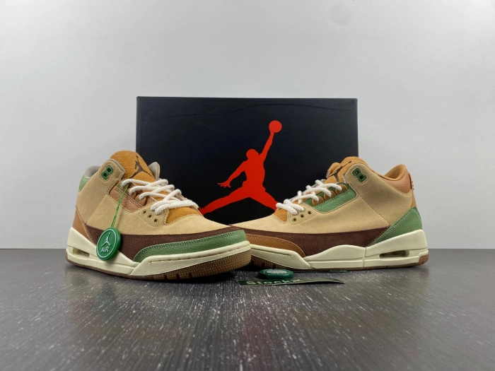 Air Jordan 3 “Green Brown”  CT8532-103