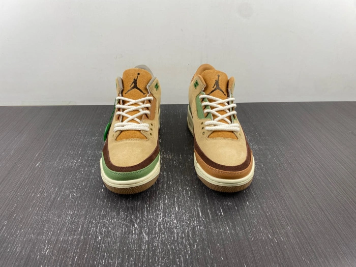 Air Jordan 3 “Green Brown”  CT8532-103