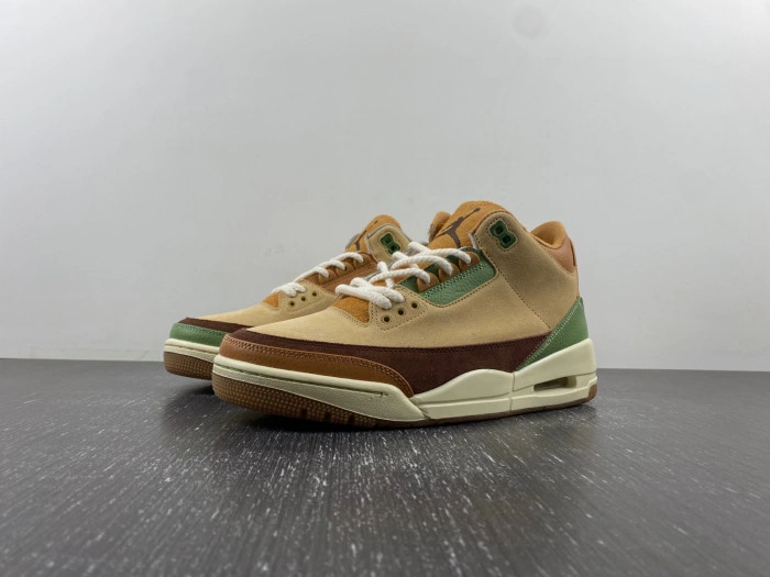 Air Jordan 3 “Green Brown”  CT8532-103
