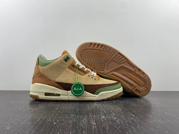 Air Jordan 3 “Green Brown”  CT8532-103