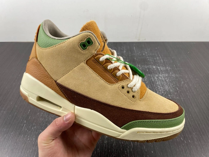 Air Jordan 3 “Green Brown”  CT8532-103
