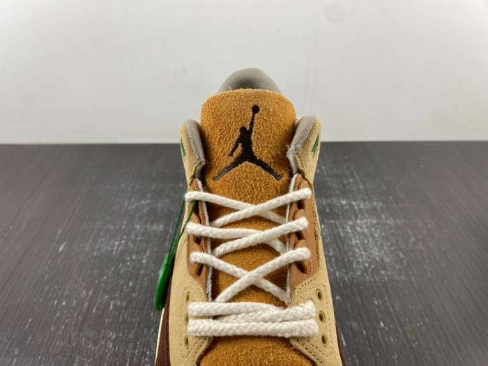 Air Jordan 3 “Green Brown”  CT8532-103