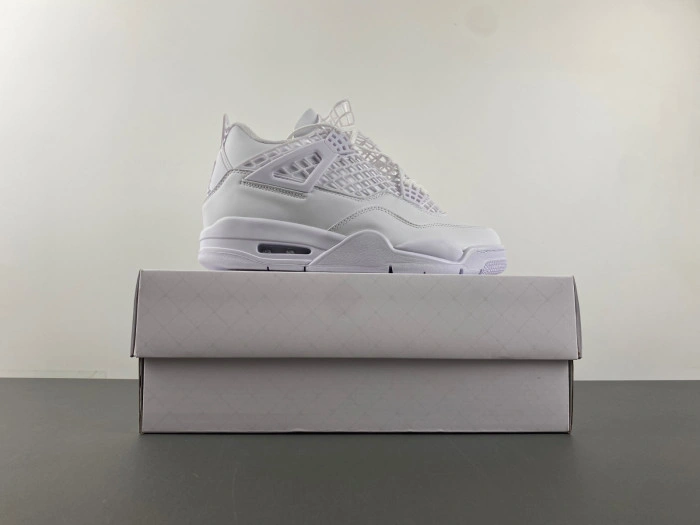 Air Jordan 4    FV7251-107