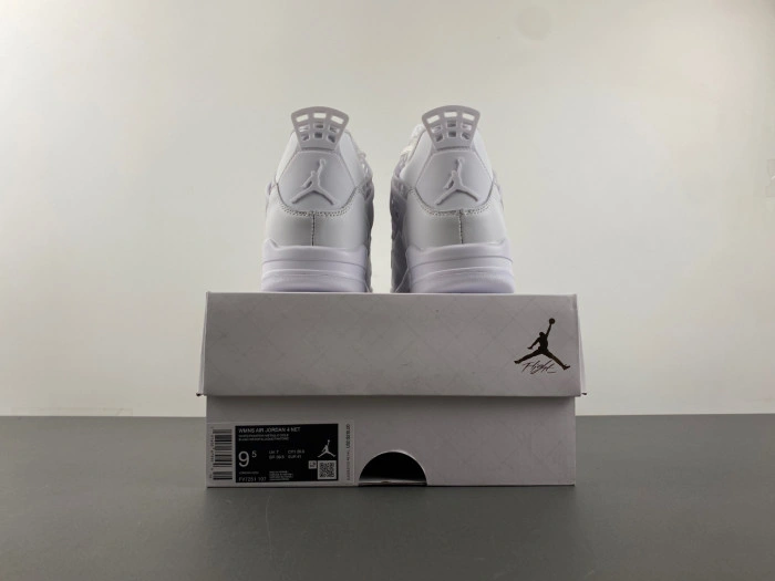 Air Jordan 4    FV7251-107