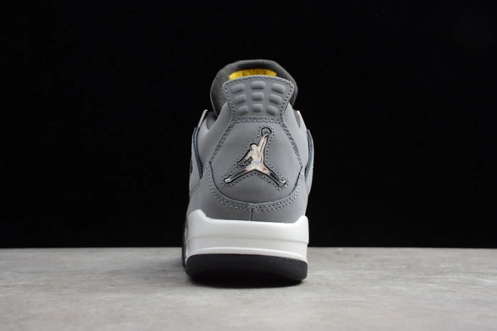 Air Jordan 4 Cool Grey 308497-007