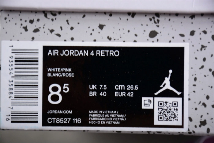 Air Jordan 4 GS Cacao Wow  CT8527-116