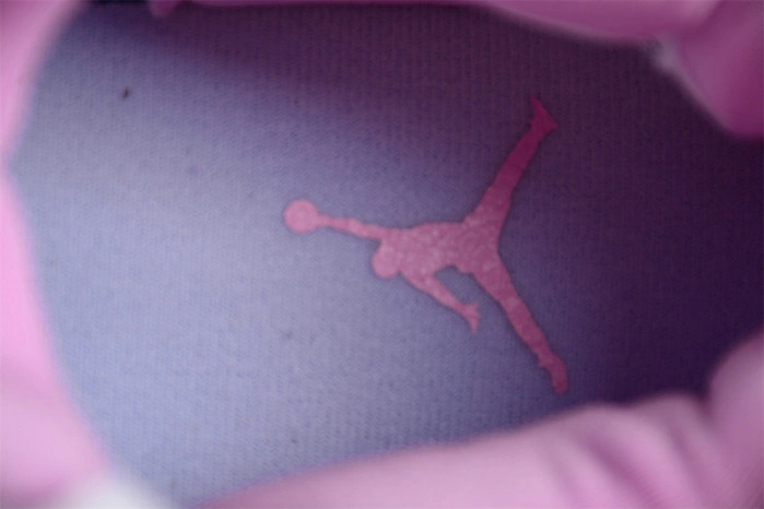 Air Jordan 4 GS Cacao Wow  CT8527-116