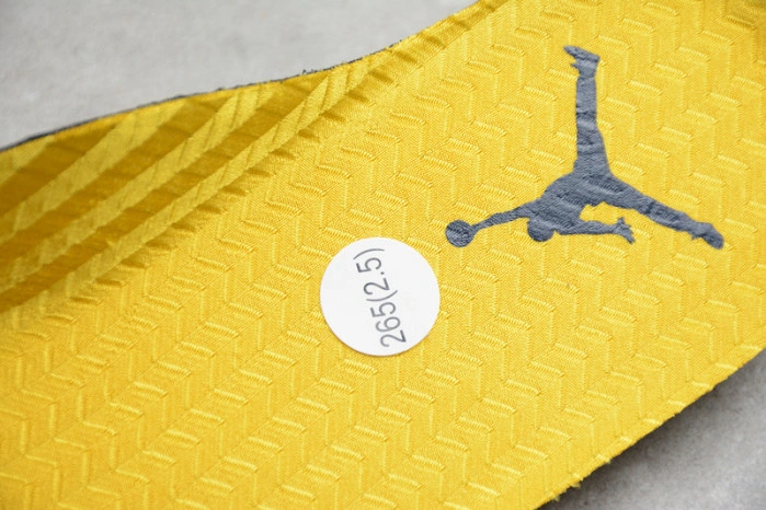 Air Jordan 5 'Michigan' CQ9541-704