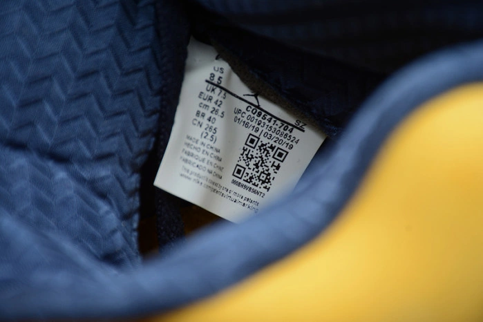 Air Jordan 5 'Michigan' CQ9541-704