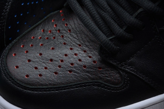 Air Jordan I 1 SB QS Black Lance Mountain 653532-002