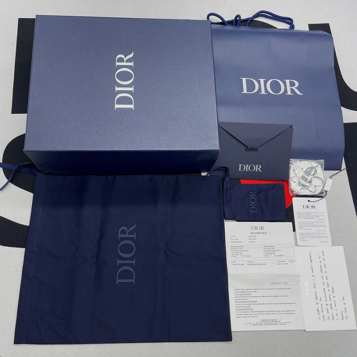 DIOR B22 Sneakers