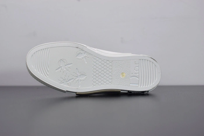 DIOR B23 Oblique Sneaker