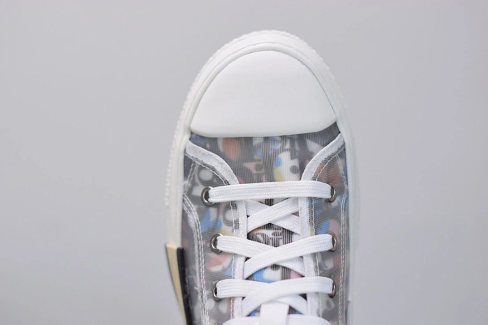 DIOR B23 Oblique Sneaker