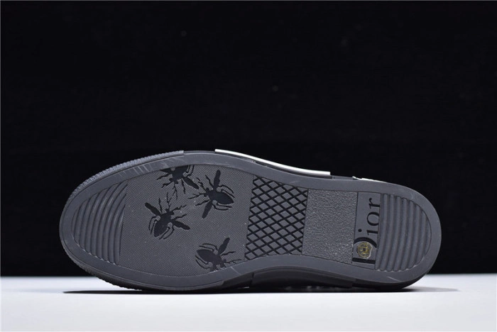 DIOR B23 Oblique Sneaker