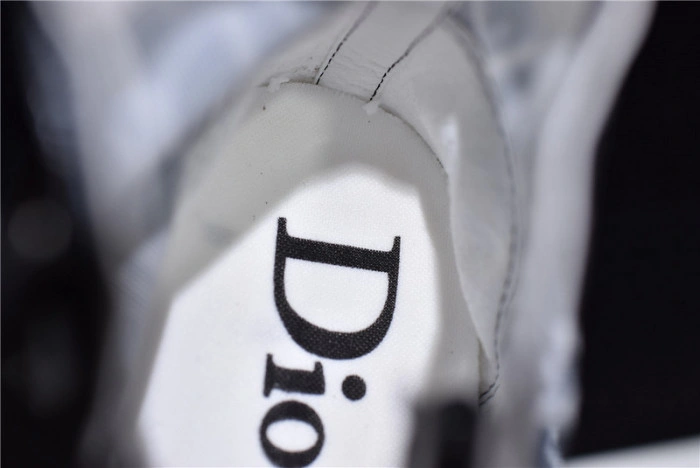 DIOR B23 Oblique Sneaker