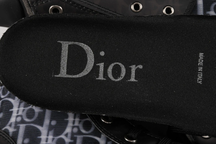 DIOR B23 Oblique Sneaker