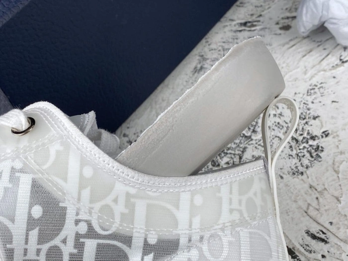 DIOR B23 Oblique Sneaker