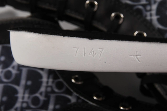 DIOR B23 Oblique Sneaker