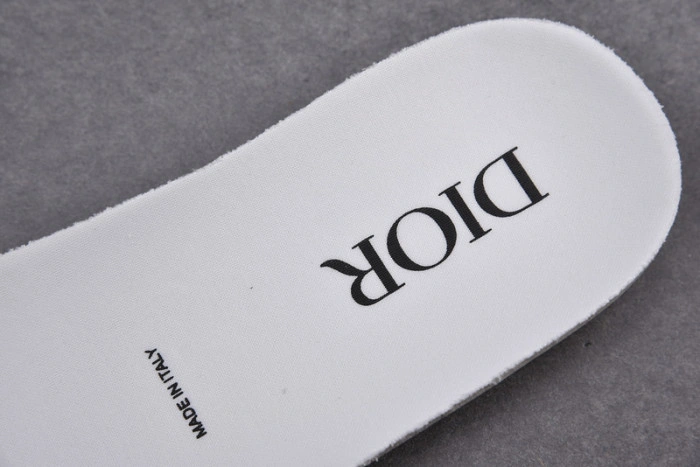DIOR B23 Oblique Sneaker