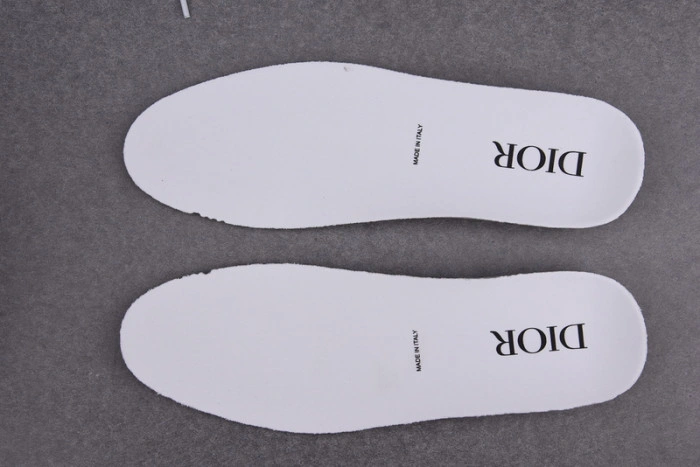 DIOR B23 Oblique Sneaker