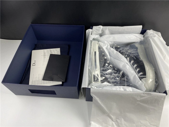 DIOR B23 Oblique Sneaker