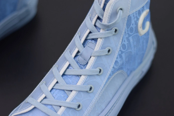 DIOR B23 Oblique Sneaker