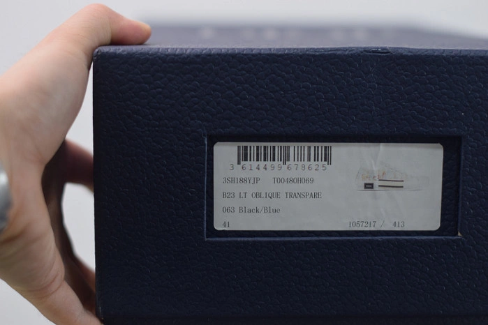 DIOR B23 Oblique Sneaker