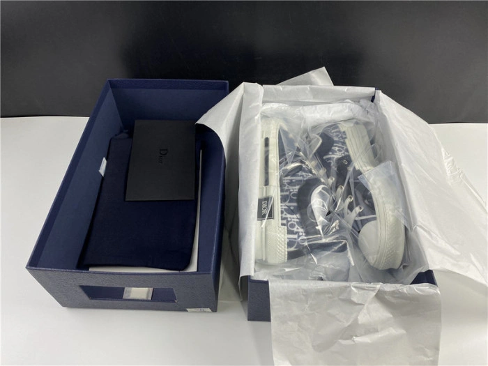 DIOR B23 Oblique Sneaker