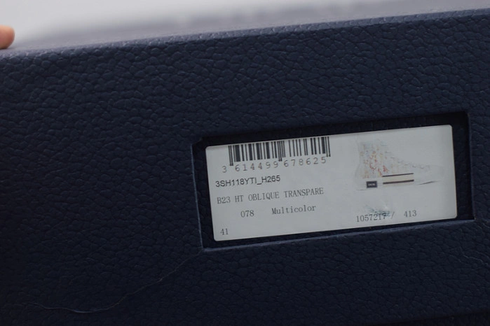 DIOR B23 Oblique Sneaker