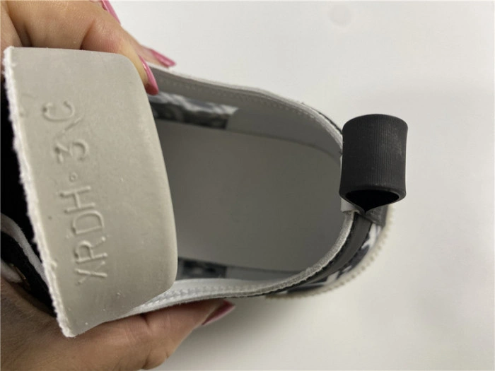 DIOR B23 Oblique Sneaker