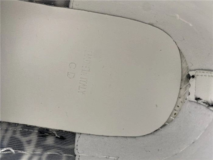 DIOR B23 Oblique Sneaker
