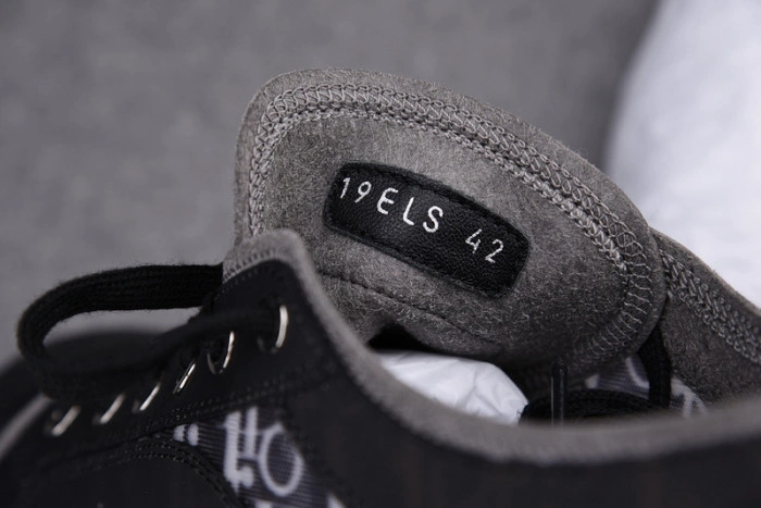 DIOR B23 Oblique Sneaker