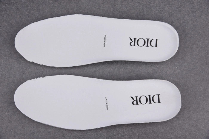 DIOR B23 Oblique Sneaker