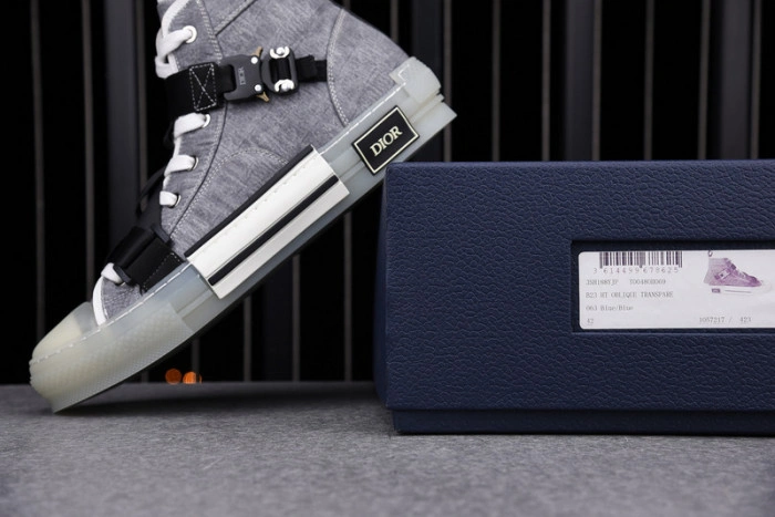 DIOR B23 Oblique Sneaker