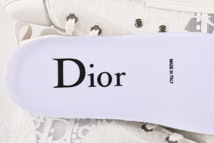 DIOR B23 Oblique Sneaker