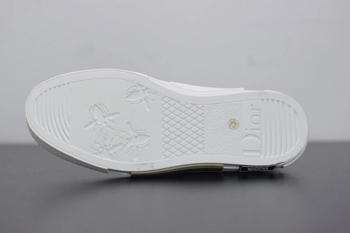 DIOR B23 Oblique Sneaker