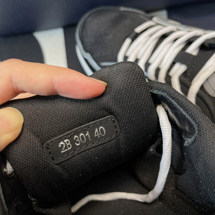 DIOR B30 SNEAKER