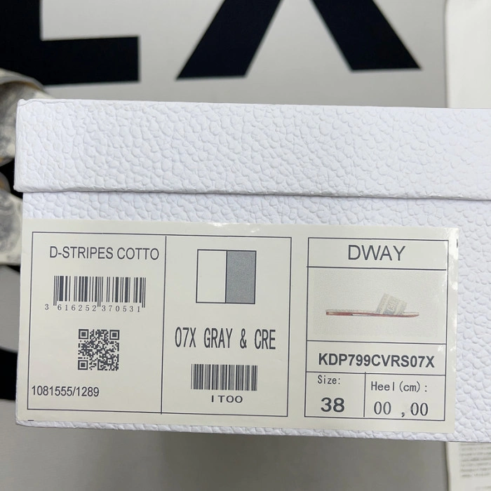 DIOR Dway Slide