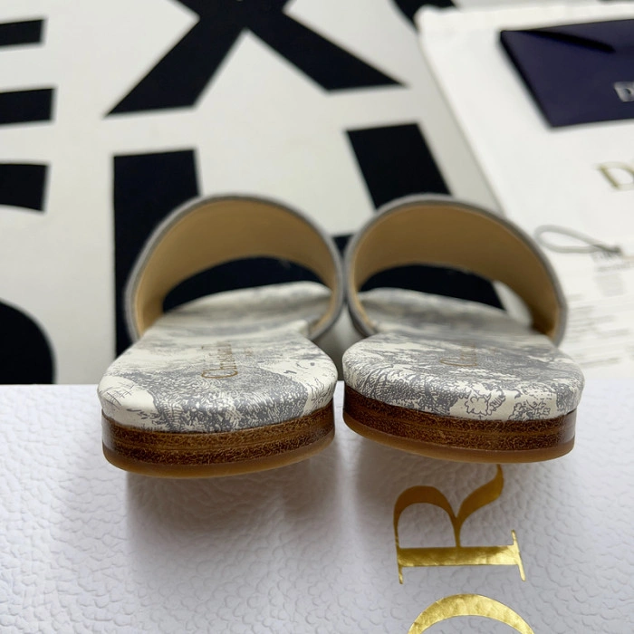 DIOR Dway Slide