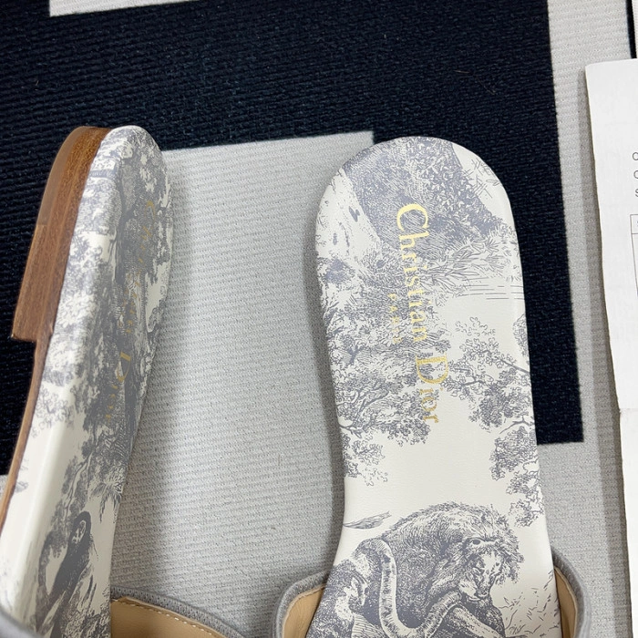 DIOR Dway Slide