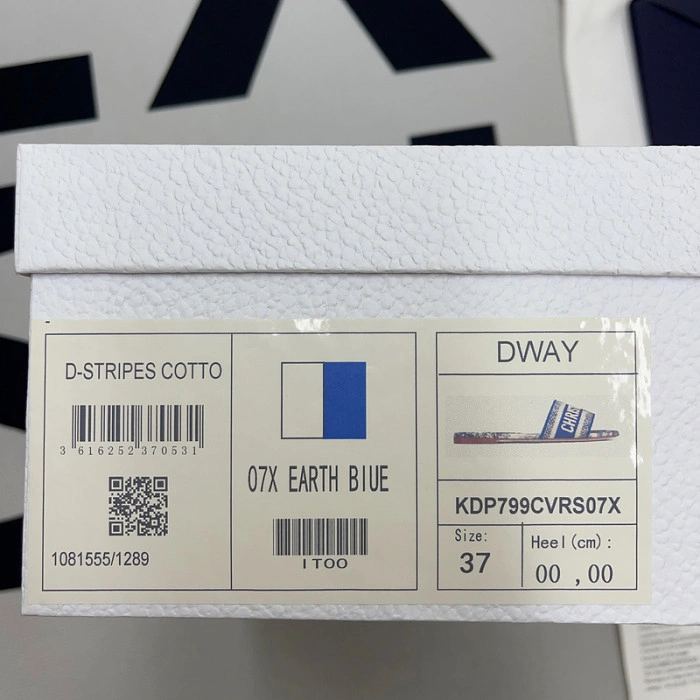 DIOR Dway Slide
