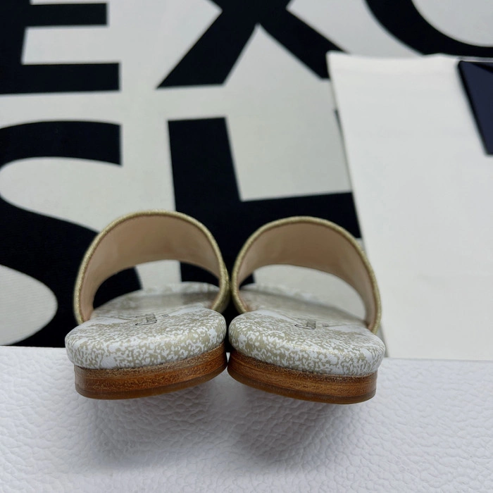 DIOR Dway Slide