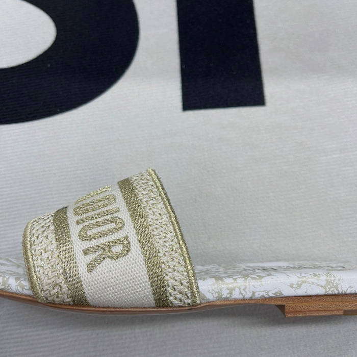 DIOR Dway Slide