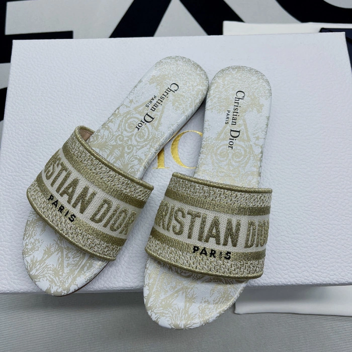 DIOR Dway Slide
