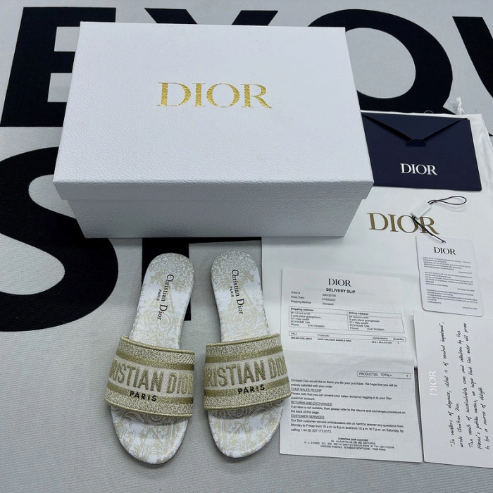 DIOR Dway Slide