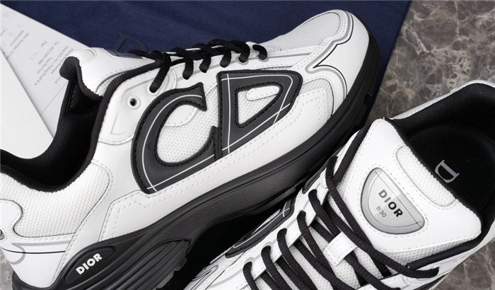 Dior B30 SNEAKER