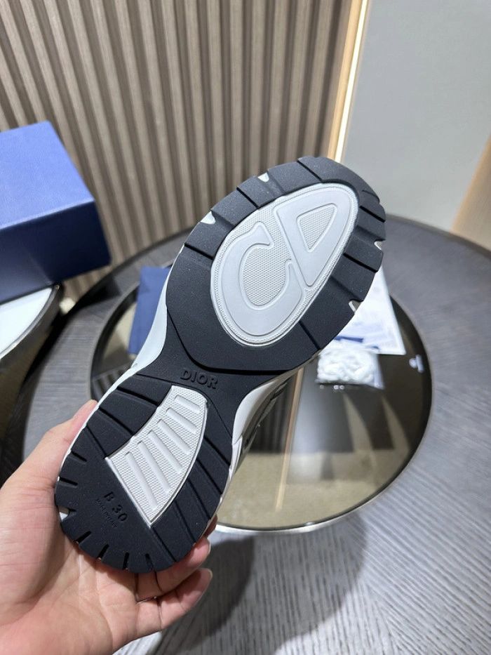Dior B30 SNEAKER