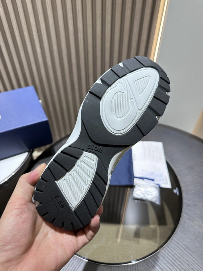 Dior B30 SNEAKER