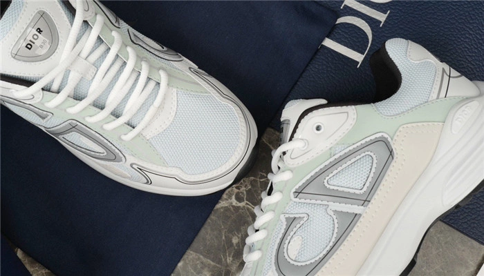 Dior B30 SNEAKER