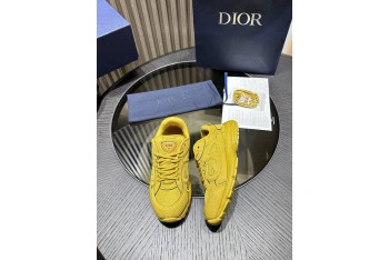 Dior B30 SNEAKER